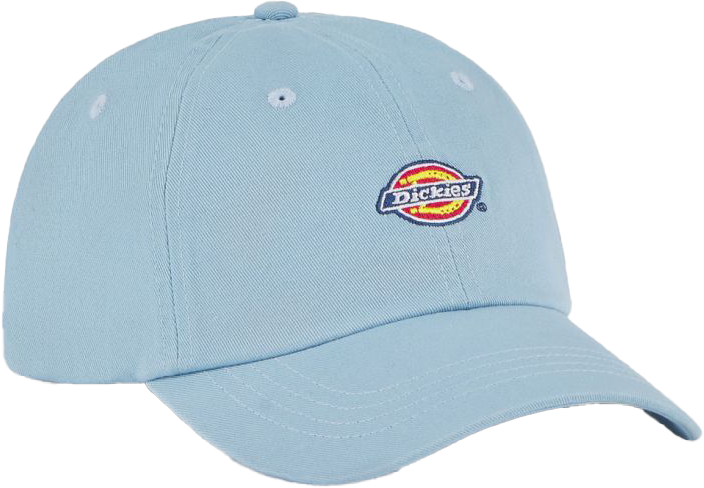 Dickies Hardwick Cap skyway