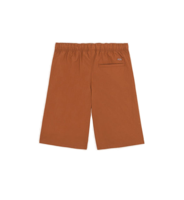 Dickies Fishersville Cargo Shorts