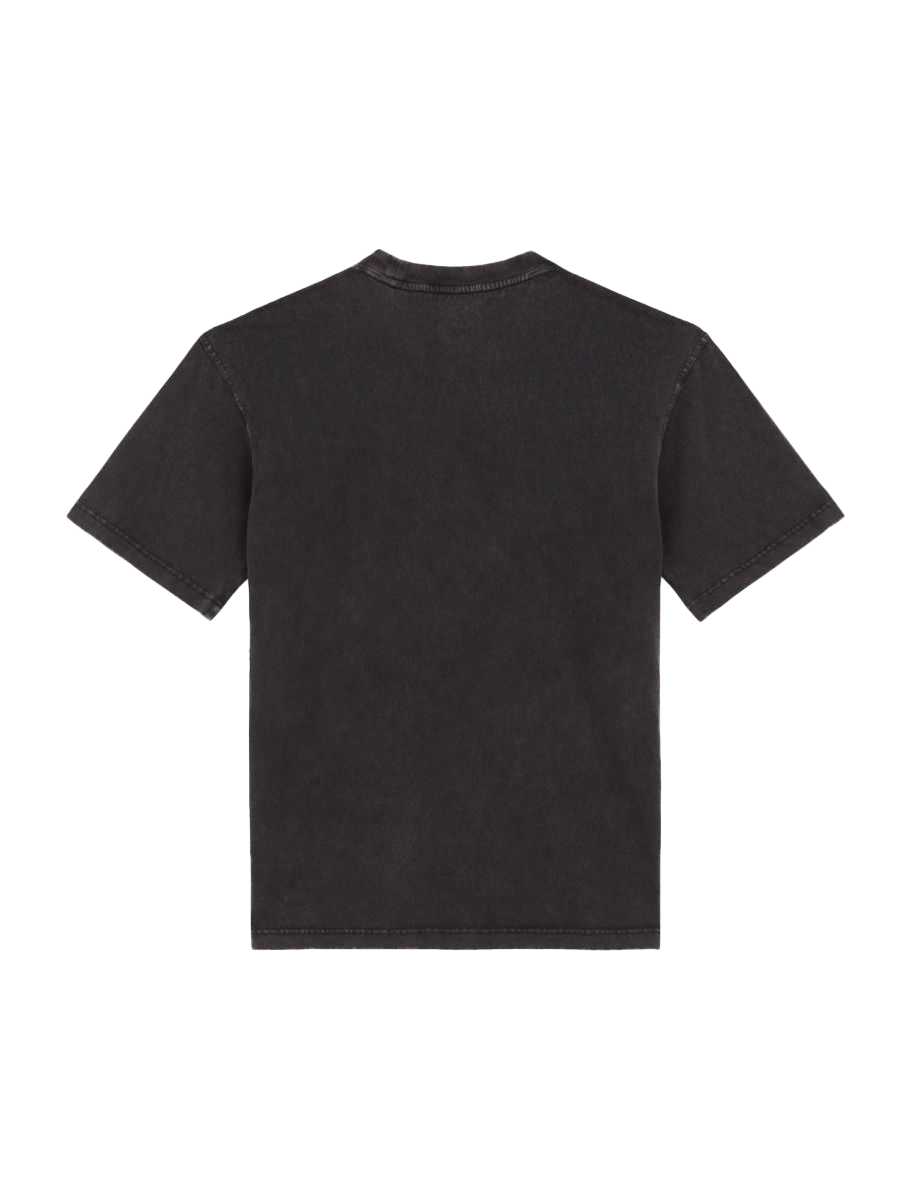 Dickies Plentywood Tee SS