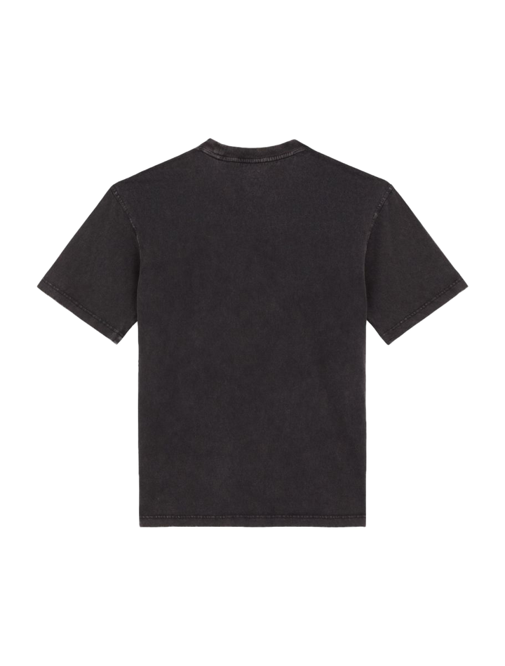 Dickies Plentywood Tee SS